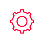 Human Intelligence
